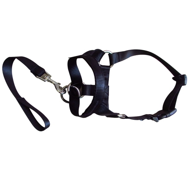 Cubrebocas para perros, adiestramiento canino, antidisturbios, apresuramiento y tirones de la correa del perro, adiestramiento para pasear perros