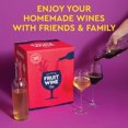 thumbnail image 3 of Craft A Brew - Fruit Wine Making Kit - Easy for Beginners - At Home Wine Making Kit - Includes Ingredients & Reusable Equipment - Use Any Fresh, Frozen or Fruit Juice - M, 3 of 5