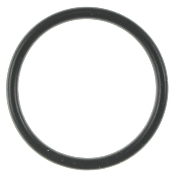 Engine Coolant Thermostat