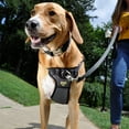 thumbnail image 3 of Walk Right Front Connected Dog Harness, Medium, Black, 3 of 10
