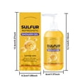 thumbnail image 3 of Sulfur Refreshing Shampoo Gel, 100ml Hydrating Formula for Dry & Uneven Skin, Deep Cleansing with Moisture Lock, Gentle Exfoliation for Smooth & Balanced Complexion, 3 of 6