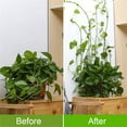 thumbnail image 6 of Luysn 100Pcs Plant Wall Clips for Climbing Plants,Indoor Green Ivy Climbing Wall Fixing Device,Resistant To Breaking and Deformation,Easy Installation and Strong Adhesion,Plant Clips 0.78"X1.38", 6 of 9