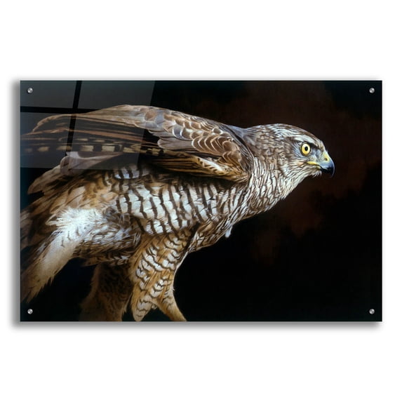 Epic Art 'Watchful' by Joh Naito, Acrylic Glass Wall Art, 36"x24"