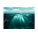 thumbnail image 2 of Fondo de acuario cartel ornamento decoración 61x41cm Gloria Vinilo decorativo pecera, 2 of 9