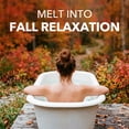 thumbnail image 6 of Dr Teal's Foaming Bath with Pure Epsom Salt, Warm Autumn Comfort, 34 fl oz, 6 of 11