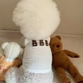 thumbnail image 2 of Adorable Pet Clothes for Cats & Small Dogs - Charming Spring & Autumn Wear, 2 of 2