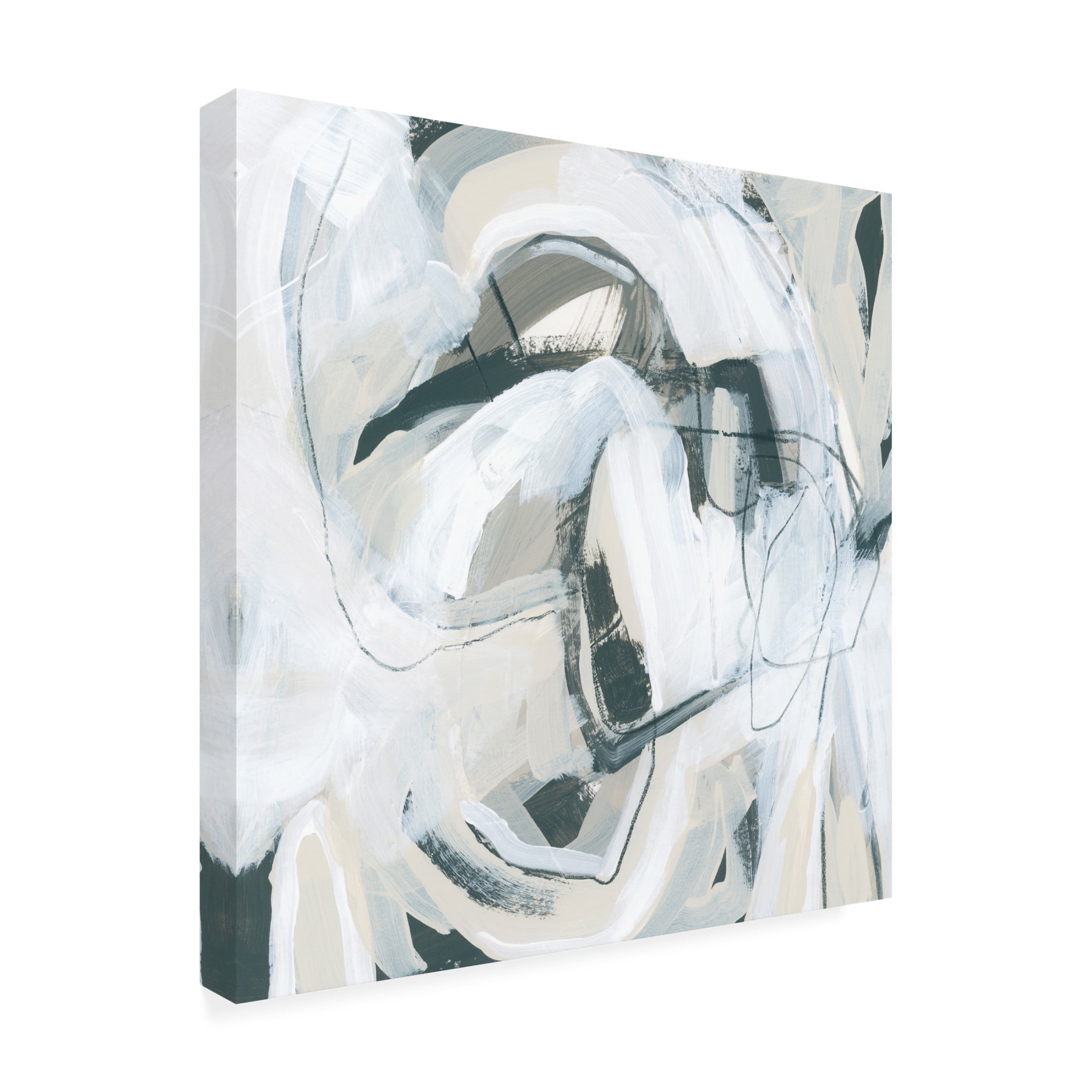 Canvas Wall Art - June Erica Vess 'Twine III' Wall Art for Living Room, Bedroom, or Office Décor by Trademark Fine Art - 24 x 24 Inches