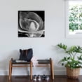thumbnail image 3 of Art.com Midnight Queen Magnolia Stretched Canvas Print Wall Art by Albert Koetsier, 30" x 30", 3 of 4