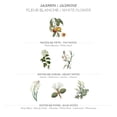 thumbnail image 2 of Perfume Panier des Sens Jasmine Eau de Toilette para mujer, 50 ml, 2 of 7