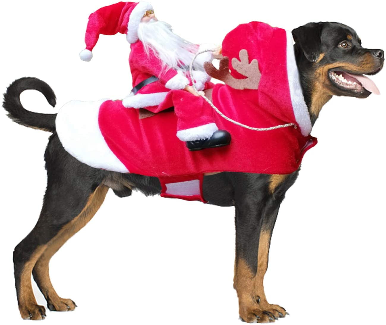 Funny Dog Costume Carrying Present