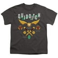 thumbnail image 2 of Harry Potter Quidditch Equipment Logo Kids T Shirt (Medium) for Youth Toddler Boys and Girls, Black, 2 of 5