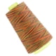 thumbnail image 5 of Paquete De 10 Accesorios De Costura De Bordado De Hilo De Coser De Color Sunnimix Hilo de coser de poliéster, 5 of 8