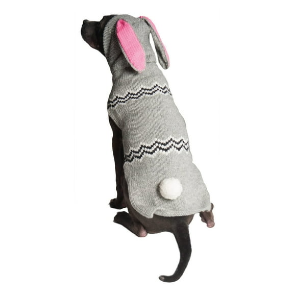 Chilly Dog Bunny Dog Hoodie