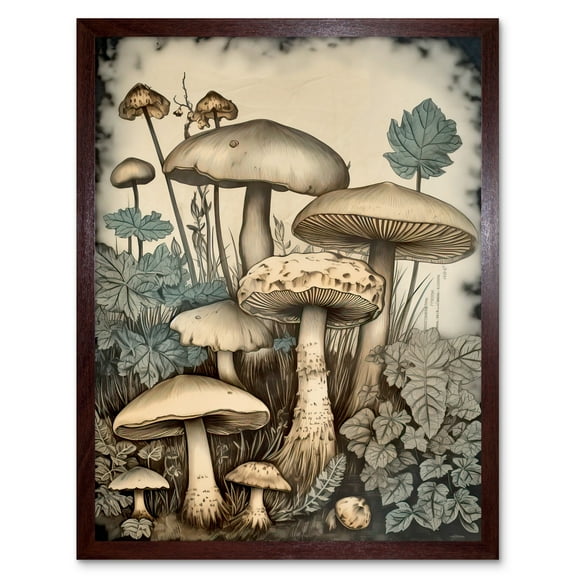 Mushroom Fungi Watercolour Vintage Cottagecore Aesthetic Rustic Decor Art Print Framed Poster Wall Decor 12x16 inch