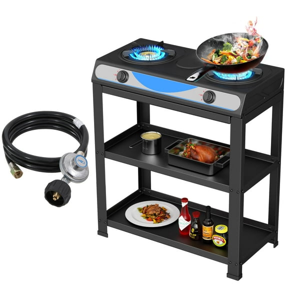 Propane Gas Stove, 2-Burner, Auto Ignition, Portable, Stainless Steel, 19000 BTU/hr, Perfect for Outdoor Kitchens