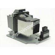 Vivitek D755WTi Projector Lamp with Module