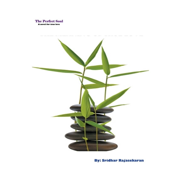 The Perfect Soul, (Paperback)