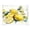 Watercolor Lemon, variant on Acrylic Tray Clear Serving Tray Rectangle Decorative Tray with Cut Handle Watercolor Lemon