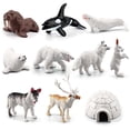 thumbnail image 3 of Bewildely Juego de 10 Uds. De figuras de animales, animales del bosque, juguete para niños, modelos de osos polares en miniatura a prueba de Juguetes, 3 of 6