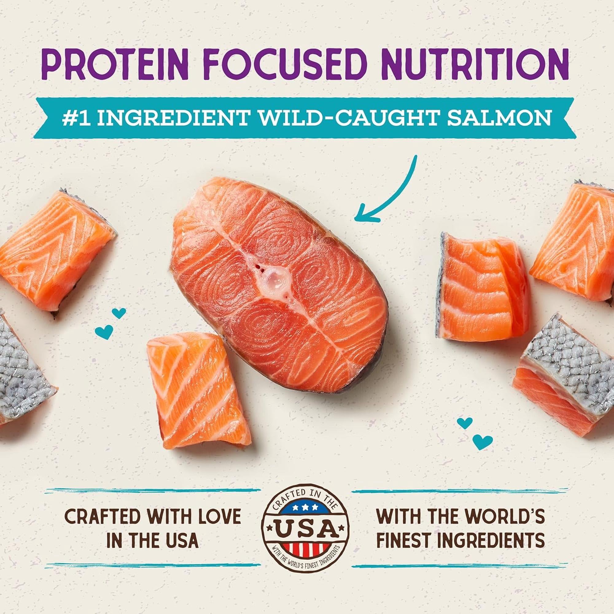Stella & Chewy's Baked Kibble for Cats - Raw Coated Wild-Caught Salmon Recipe - 2.5 Pound Bag