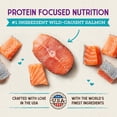 thumbnail image 2 of Stella & Chewy's Baked Kibble for Cats - Raw Coated Wild-Caught Salmon Recipe - 2.5 Pound Bag, 2 of 8