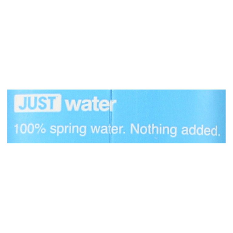 JUST Water 100% Spring Water, 16.9 fl oz