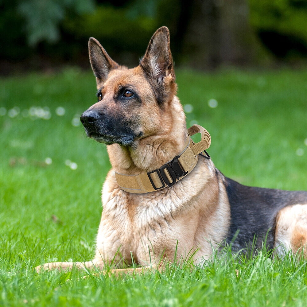 Pet Artist 2.6 Inch Wide Tactical Dog Collar with Handle Military Breathable Mesh Padded Adjustable Heavy Duty Metal Buckle