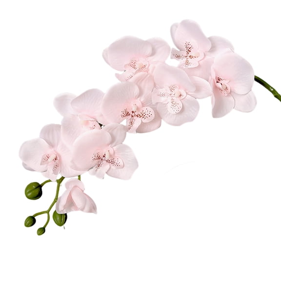 OIUR Artificial Orchid Flowers Long Stemmed Realistic Phalaenopsis Orchids No Maintenance Velvet Petals Fake Flower Home Decor