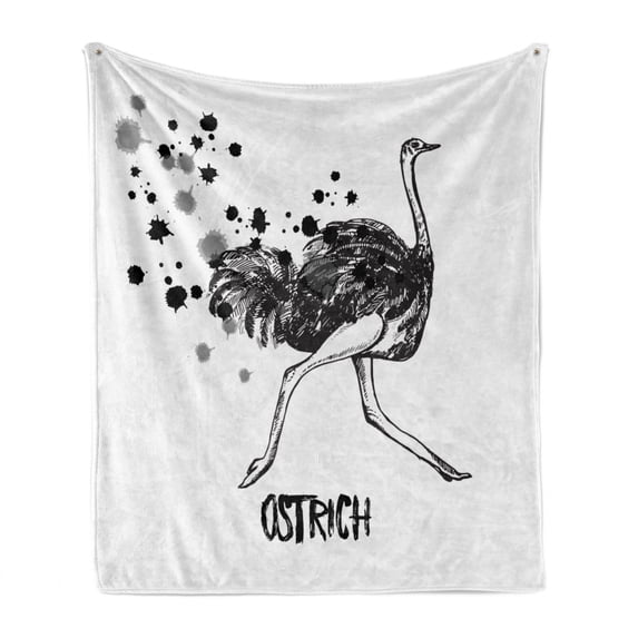 Ostrich Soft Flannel Fleece Blanket, Minimalist Style Animal Bird in Watercolor Sketch Zoo Feathered Mammal Print, Cozy Plush for Indoor and Outdoor Use, 70" x 90", White Black Grey, by Ambesonne