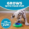 thumbnail image 4 of Petstages Orka Grow-with-Me-Ring - Juguete para Masticar Perros pequeños, 4 of 7