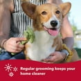 thumbnail image 5 of Safari Dog Self-Cleaning Slicker Brush, Large, 5 of 6