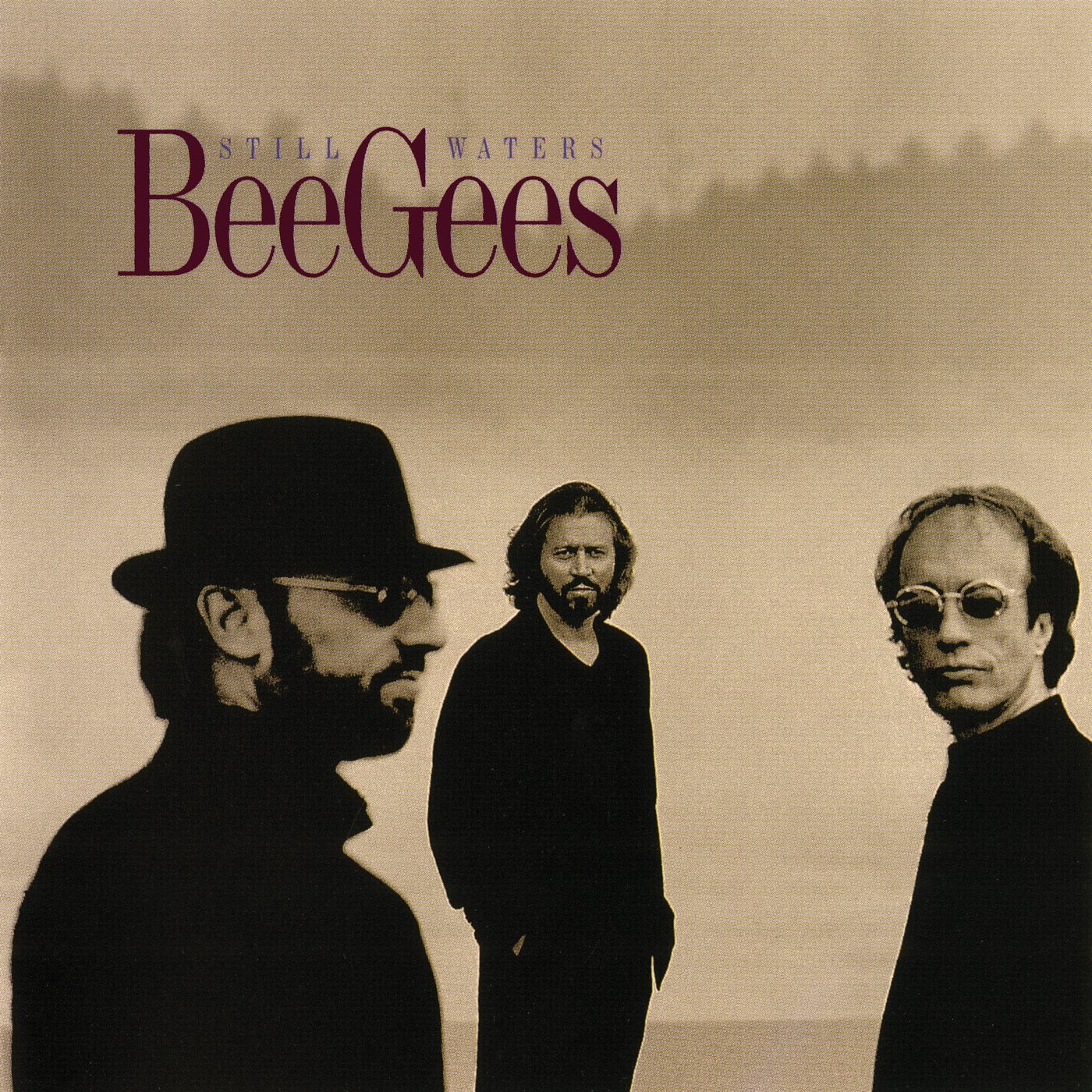 The Bee Gees - Still Waters - SHM-CD - Music & Performance - CD