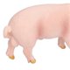 thumbnail image 3 of Simulation Farm Pig Animals Model Figures Toy Set Preschool Educational Learn Cognitive Toys4pcs, 3 of 4