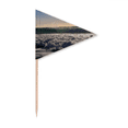 thumbnail image 1 of Sunshine Ocean Water Wave Science Nature Picture Toothpick Triangle Cupcake Toppers Flag, 1 of 3