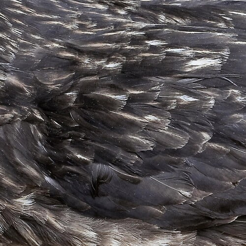 Árstíðir - Arstidir - Music & Performance - Vinyl