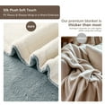 thumbnail image 2 of Heated Blanket Twin Size, Washable Heated Blanket Electric, Electric Blanket, Light Gray, 62" x 84", Blanket Warmer Heating blanket Heat Warming Blanket Electric Blanke Heater, 2 of 7