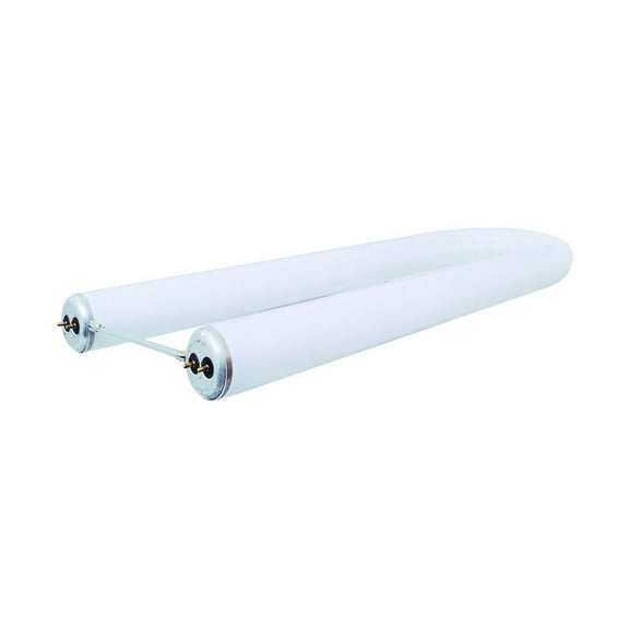 GE 40 W T12 1.5 in. D X 23 in. L Fluorescent Bulb Cool White Decorative 4100 K 1 pk