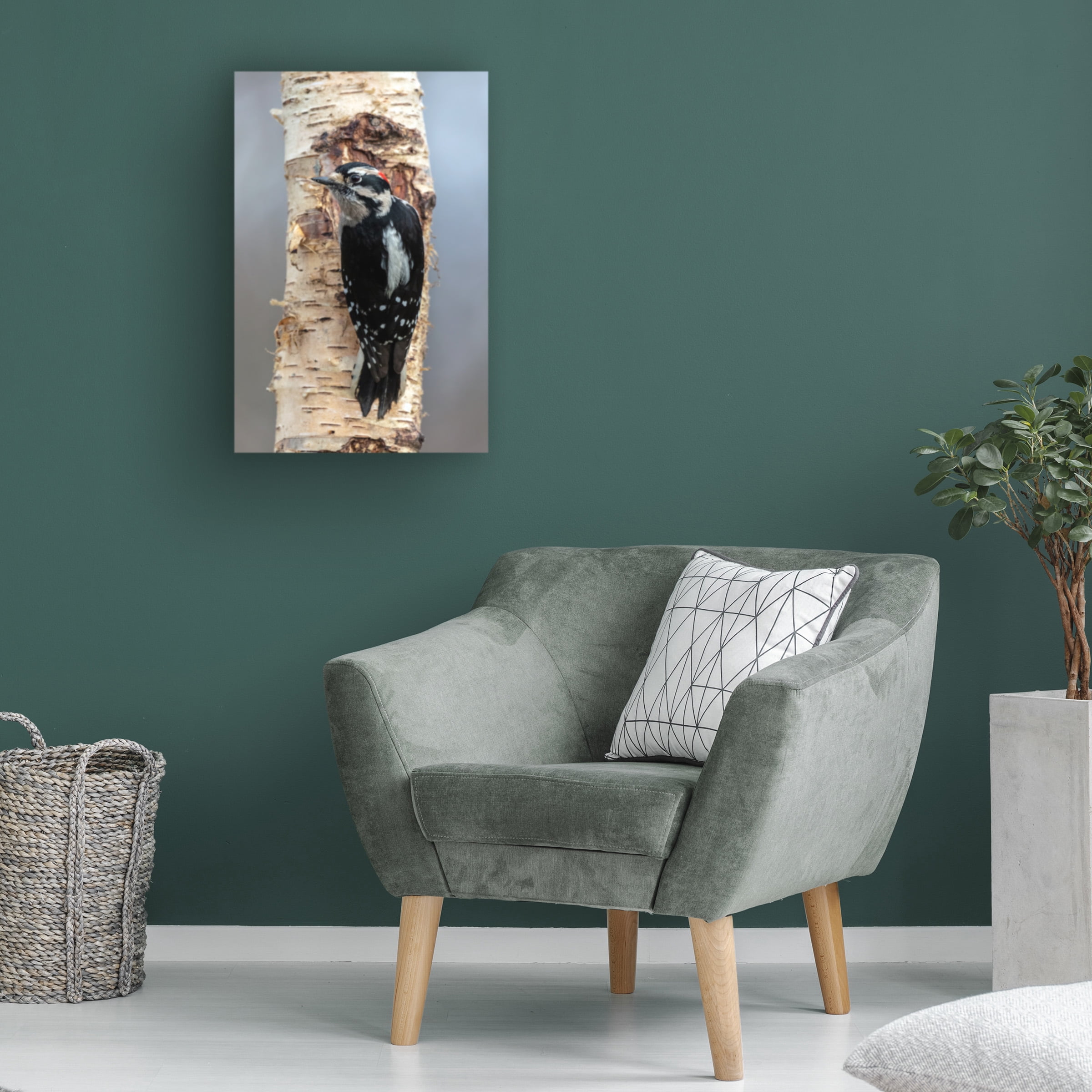 Pierre Leclerc Photography 'Woodpecker' Canvas Art
