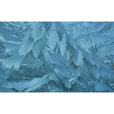 Ice patterns formed on glass after a hard frost Nelson Wakefield New Zealand Canvas Art - Nicola M Mora  Design Pics (19 x 12)