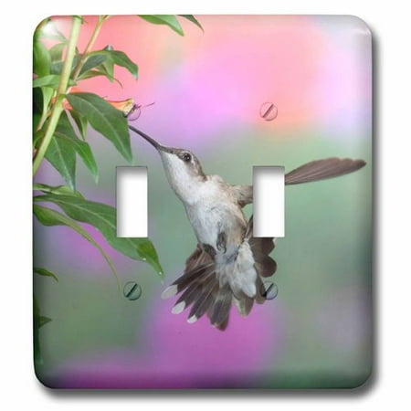 Humminbird Switch - 3dRose Ruby-throated Hummingbird female, Double Toggle Switch