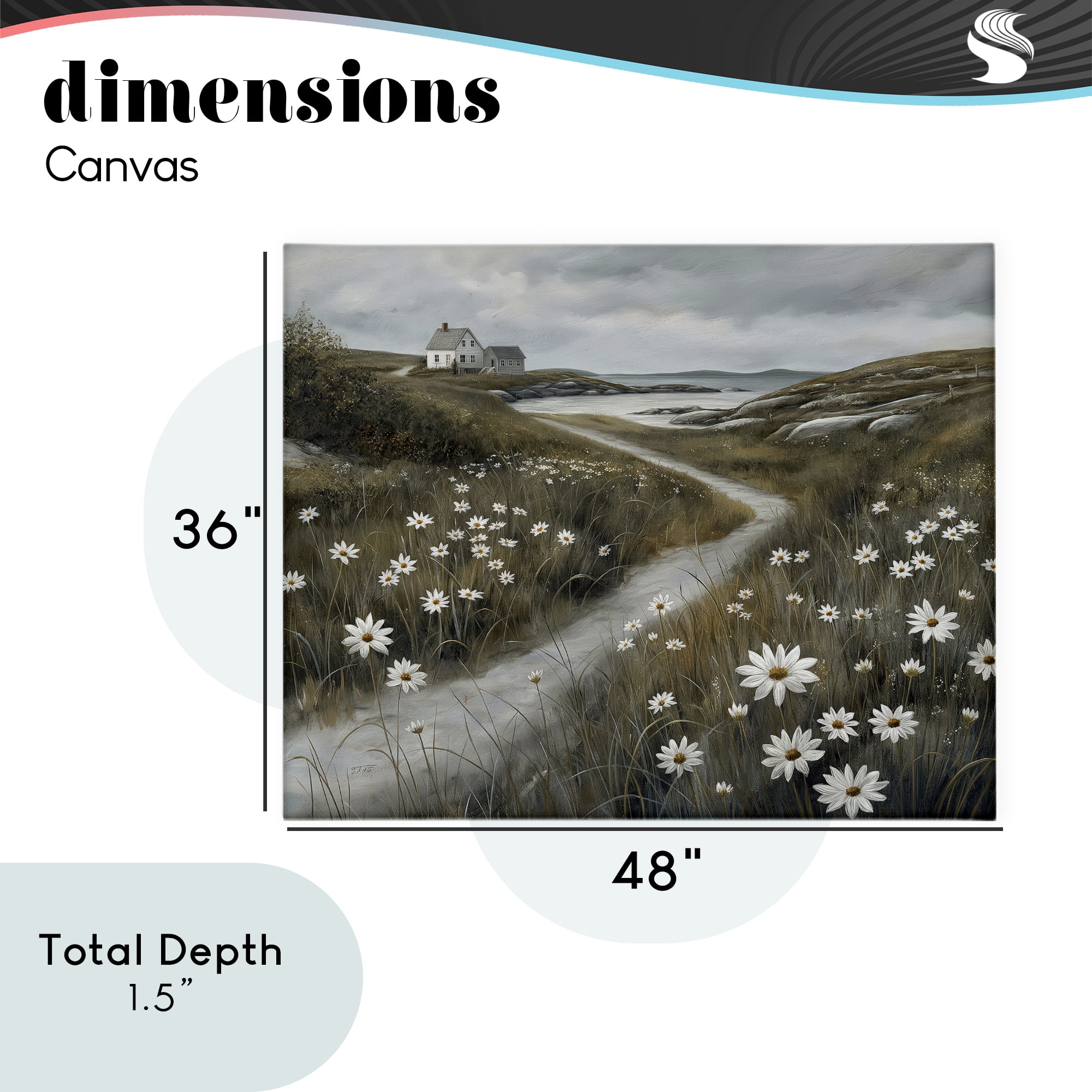 Stupell Industries Daisies Along Coastal Path Canvas Wall Art, design by Imagine It Images