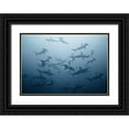 thumbnail image 1 of Safonov, Alexander 14x11 Black Ornate Wood Framed with Double Matting Museum Art Print Titled - swarming, 1 of 4