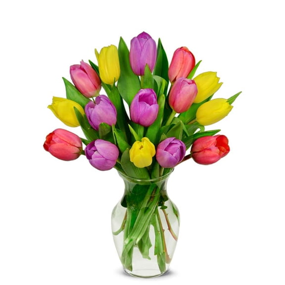 From You Flowers - Sweetheart Tulip Bouquet - 15 Stems for Birthday, Anniversary, Get Well, Congratulations, Thank You, All Occasions