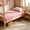 Pink, variant on Soft Fitted Sheet, Deep Pocket Bottom Sheet, Shrink Fade Stain Resistant, Easy Care Single Bed Sheet-1 Fitted Sheet Only