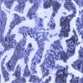 thumbnail image 1 of Ahgly Company Machine Washable Indoor Square Abstract Blue Modern Area Rugs, 6' Square, 1 of 4