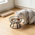 thumbnail image 6 of Elevated Ceramic Cat Bowl With Metal Stand Anti Tip Pet Food Water Bowl Cute Pattern Raised Feeding Dish For Small Medium Cats Dogs Prevent Neck Strain Indoor Pet Feeder, 6 of 6