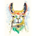 thumbnail image 2 of Goldberger, Jennifer 15x18 White Modern Wood Framed Museum Art Print Titled - Hifi Llama II, 2 of 4