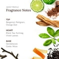 thumbnail image 3 of Spray corporal SCENT BEAUTY STETSON All Day Oasis, 150 ml, paquete de 3 unidades, para hombre, 3 of 7