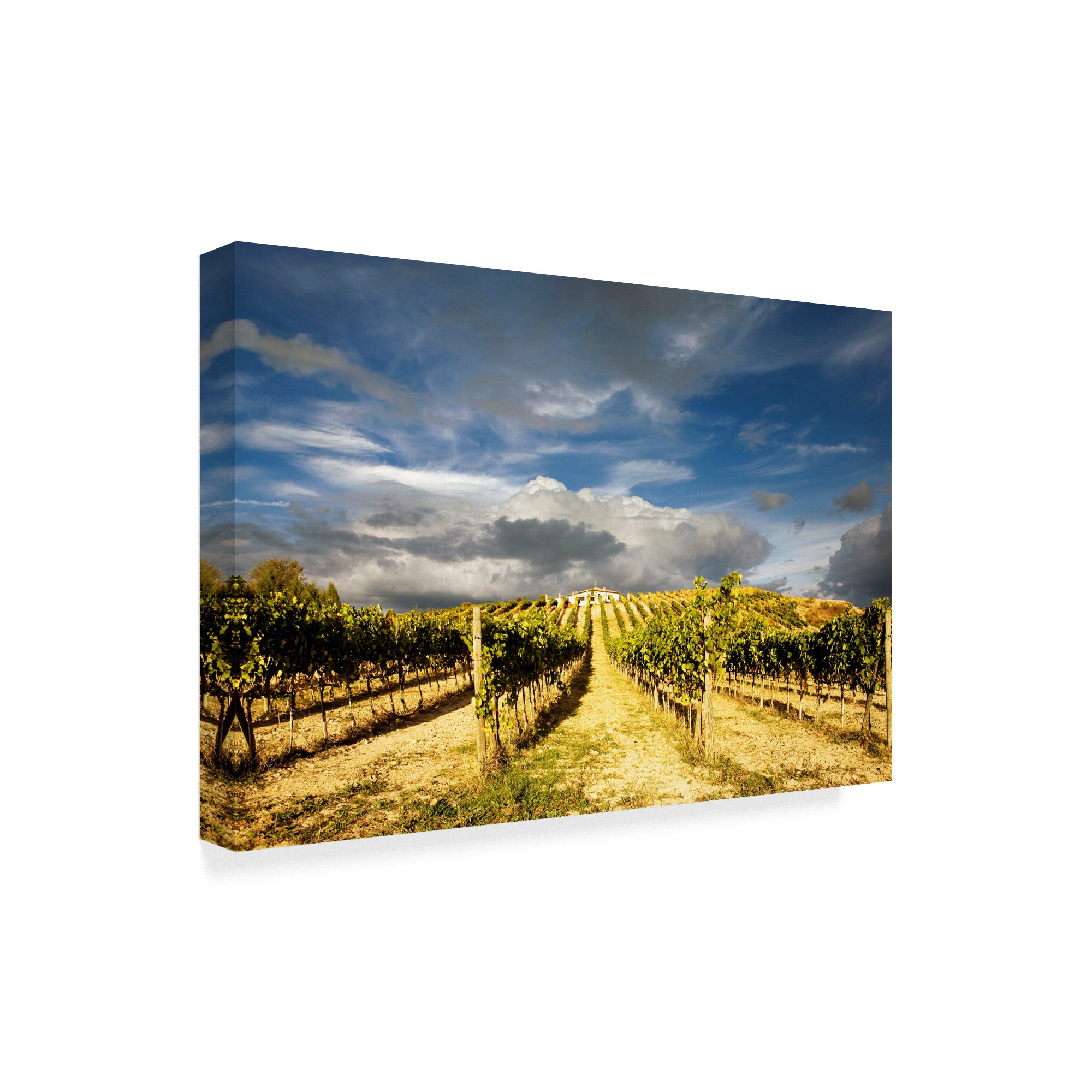 Trademark Fine Art 'Rustic Italy 7' Canvas Art by Maciej Duczynski