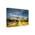 thumbnail image 2 of Trademark Fine Art 'Rustic Italy 7' Canvas Art by Maciej Duczynski, 2 of 3